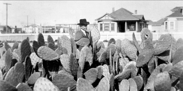 File:Luther Burbank with spineless cactus.png