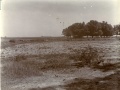 Lotus pond at Kapilavastu, Nepal, October 1914.