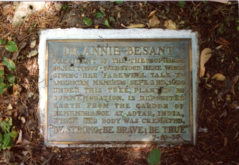 File:Annie Besant tree plaque.jpg