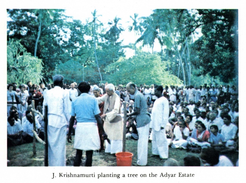 File:Krishnamurti planting tree at Adyar.jpg