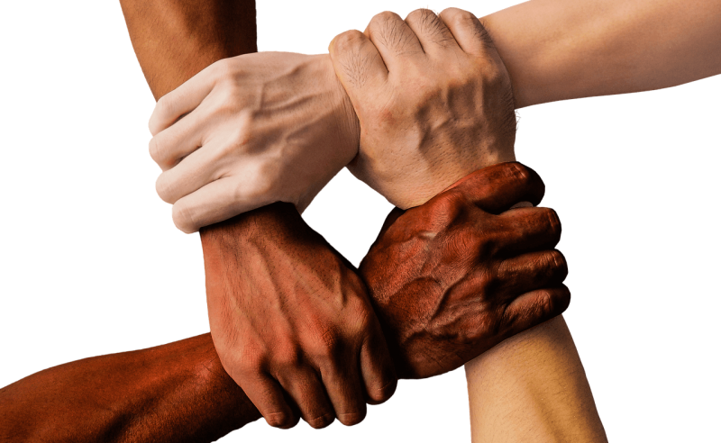File:Stop Racism Black And White Hands.png