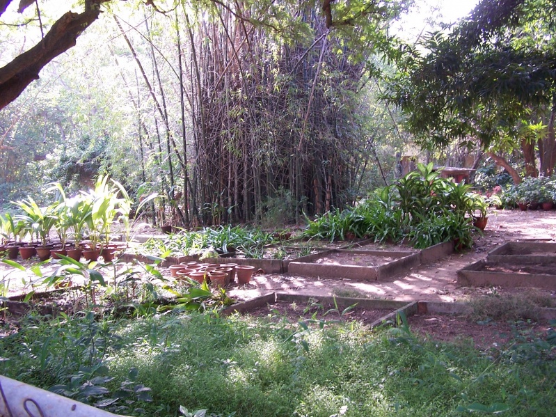 File:Garden Dept work area.jpg