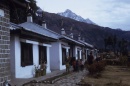 Tibetan children's village