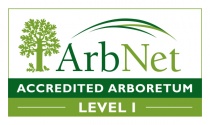 ArbNet Level1.jpg