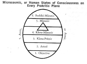 File:Human States of Cosnciousness.JPG