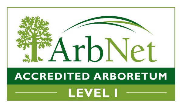 File:ArbNet Level1.jpg