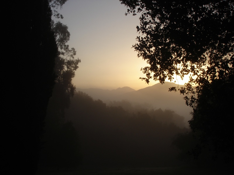 File:Misty view to east.JPG