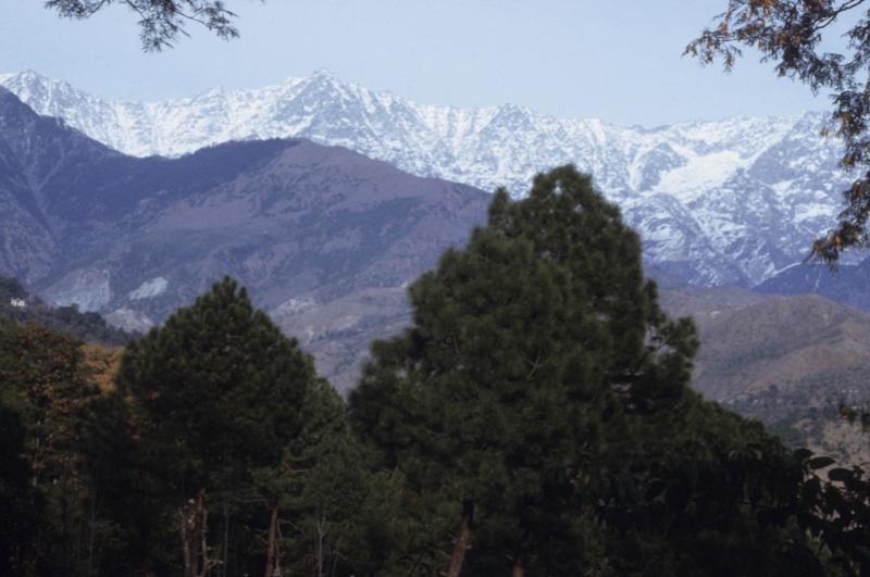 File:Dharamsala mountain view.jpg