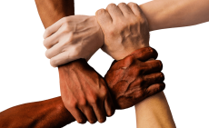 Stop Racism Black And White Hands.png