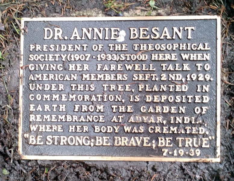 File:Plaque at Annie Besant tree.jpg