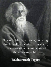 Tagore on trees.jpg