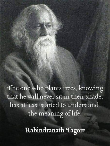 File:Tagore on trees.jpg