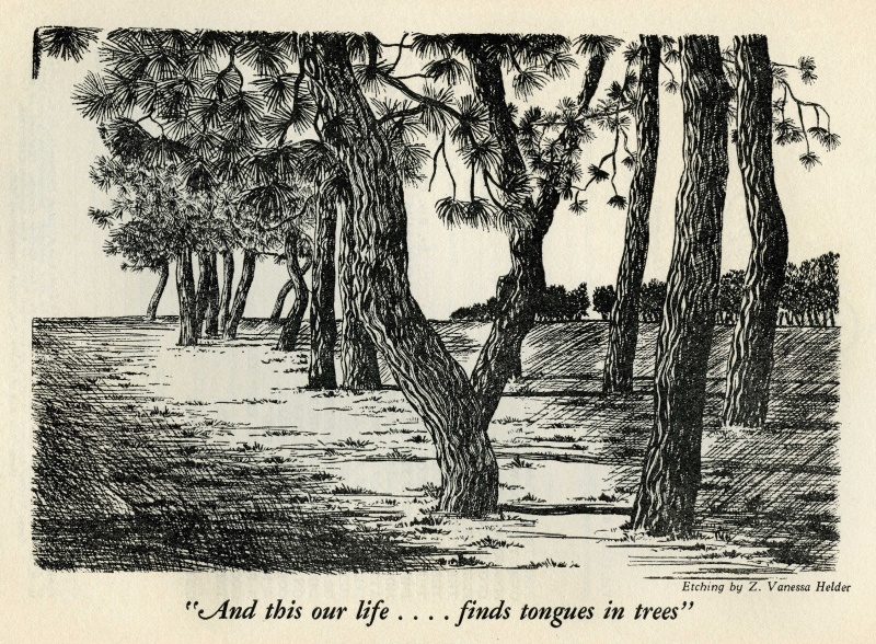 File:Helder - Trees.jpg
