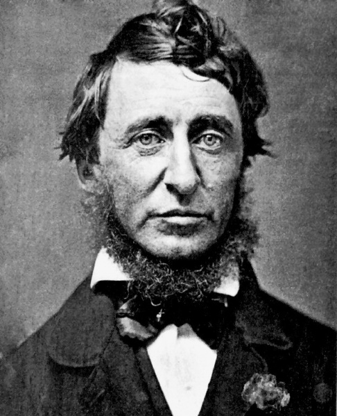 File:Henry David Thoreau.jpg